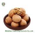 Sweet and Crispy Chinese Walnut kernels Light Pieces(LP)